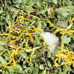 JR Farm Löwenzahn Getrocknete Kräuter Raufutter für Kaninchen und Meerschweinchen 500g - 500 g – Bild 1 von 5