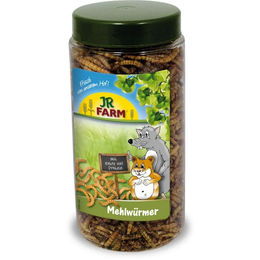 JR Farm Mehlwürmer für Kleintiere wie Hamster, Mäuse und Ratten 70 g - 70 g – Bild 1 von 8