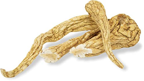 JR Farm Pastinaken-Wurzeln Kleintiersnack für Kaninchen 50 g - 50 g – Bild 1 von 4
