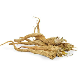 JR Farm Petersilien-Wurzeln Getrocknete Kräuter für Kaninchen 50 g - 50 g – Bild 1 von 5