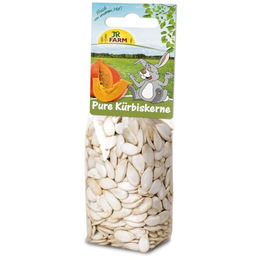 JR Farm Pure Kürbiskerne Kleintiersnack für Kaninchen 125 g - 125 g – Bild 1 von 3
