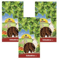Produktbild von JR Farm Rote Kolbenhirse für Kanarienvögel ohne tierisches Protein 3x500g - 3 x 500 g