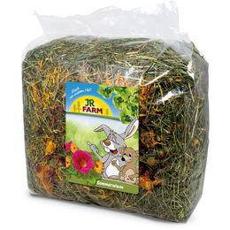 JR Farm Sommerwiese Raufutter für Kleintiere 500 g - 500 g – Bild 1 von 2