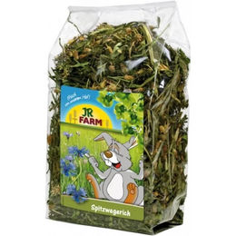 JR Farm Spitzwegerich getrocknete Kräuter für Kaninchen und Meerschweinchen 100 g - 100 g – Bild 1 von 5