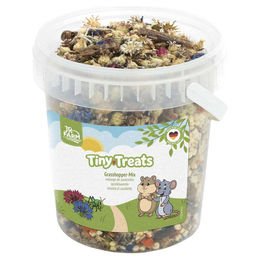 Produktbild von JR Farm Tiny Treats Grasshopper-Mix Insekten Snack für Ratten Hamster und Mäuse glutenfrei 150 g