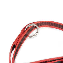 Julius-K9 Führleine Super Grip rot-grau wasserabweisend 2,2 m - 2,2 m – Bild 1 von 4