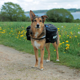 Produktbild von Julius-K9 Futterbeutel Set aus Nylon in Schwarz Größe XL