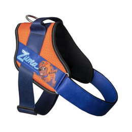 Julius-K9 Hundegeschirr Paw Patrol Zuma Größe S/Mini Orange OEKO-TEX – Bild 1 von 6