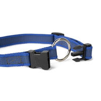 Produktbild von Julius-K9 Hundehalsband Color & Gray Blau-Grau verstellbar 20 mm 27-42 cm wasserabweisend