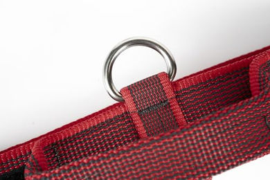 Julius-K9 Hundehalsband Color & Gray mit Haltegriff und Sicherheitsverschluss Rot-Grau 40 mm 38-53 cm – Bild 1 von 8
