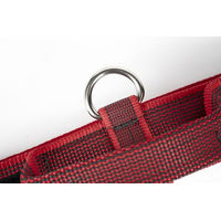 Produktbild von Julius-K9 Hundehalsband Color & Gray mit Haltegriff und Sicherheitsverschluss Rot-Grau 40 mm 38-53 cm