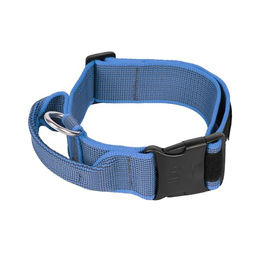 Julius-K9 Hundehalsband Color & Gray Series mit Haltegriff und Sicherheitsverschluss Blau-Grau 49-70 cm – Bild 1 von 5