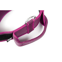 Produktbild von Julius-K9 Hundehalsband Color & Gray Series mit Haltegriff und Sicherheitsverschluss Pink-Grau verstellbar 49-70 cm