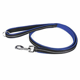 Produktbild von Julius-K9 Hundeleine Powair aus Nylon mit Schlaufe und großem Karabiner Blau Größe L - 120 cm