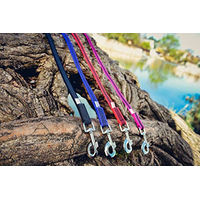 Produktbild von Julius-K9 Hundeleine Super Grip wasserabweisend Schwarz-Grau 3 m x 20 mm - 3 m