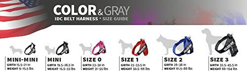 Julius-K9 IDC Color & Gray Führgeschirr für Riesenrassen in Rot und Grau XXL wasserabweisend – Bild 1 von 4