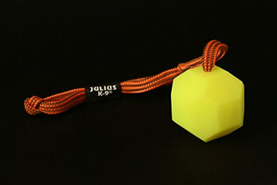 Julius-K9 IDC Fluoreszierender Ball mit Schnur Gelb 60 mm Silikon – Bild 1 von 2