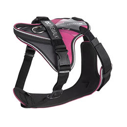 Julius-K9 IDC Longwalk Hundegeschirr Y-Geschirr aus Neopren Rosa-Grau Größe XL – Bild 1 von 6