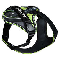 Produktbild von Julius-K9 IDC Longwalk Hundegeschirr Y-Geschirr Neopren Neon-Grau Größe 2XS