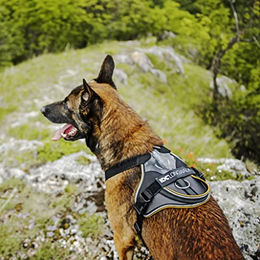 Julius-K9 IDC Longwalk Hundegeschirr Y-Geschirr Neopren Rosa-Grau Größe XS – Bild 1 von 6
