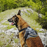 Produktbild von Julius-K9 IDC Longwalk Hundegeschirr Y-Geschirr Neopren Rosa-Grau Größe XS