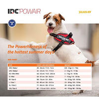 Produktbild von Julius-K9 IDC Powair Hundegeschirr Blau Größe M für mittlere Rassen - 1 Stk.