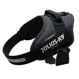 Julius-K9 IDC Power Hundegeschirr für große Rassen Größe L Grau – Bild 1 von 13