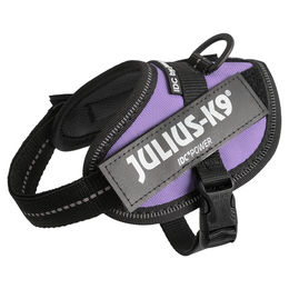 Julius-K9 IDC Power Sicherheitsgeschirr für Welpen Lila Größe 2XS/Baby 2 – Bild 1 von 9