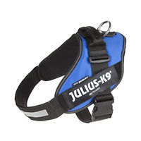 Produktbild von Julius-K9 IDC Power Sportgeschirr für Hunde Blau Größe XL - 1 Stk.