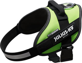 Julius-K9 IDC Power Sportgeschirr für Hunde in Grün Größe M - 1 Stk. – Bild 1 von 11