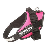 Produktbild von Julius-K9 IDC Power Sportgeschirr für Hunde in Rosa Größe M