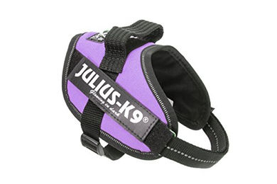 Julius-K9 IDC Power Sportgeschirr für Hunde Lila Größe S/Mini – Bild 1 von 3