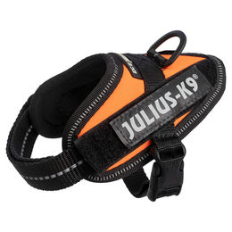 Julius-K9 IDC Power Sportgeschirr für Welpen in Neon-Orange Größe 3XS/Baby 1 – Bild 1 von 2