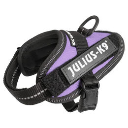 Produktbild von Julius-K9 IDC Powergeschirr für Welpen in Lila Größe 3XS/Baby 1