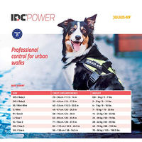 Produktbild von Julius-K9 IDC Powergeschirr für Welpen Regenbogen Kunstleder Größe 3XS Baby 1