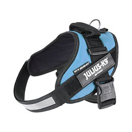 Julius-K9 IDC Powergeschirr Hund Sportgeschirr Aquamarin Größe M - 1 Stk. – Bild 1 von 6