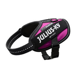 Julius-K9 IDC Powergeschirr Hund Welpe Rosa Mini XS – Bild 1 von 9
