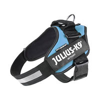 Produktbild von Julius-K9 IDC Powergeschirr Sportgeschirr für Hunde Größe L Aquamarin Blau aus Polyester
