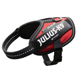 Julius-K9 IDC Powergeschirr Sportgeschirr für Welpen Mini in Rot – Bild 1 von 9