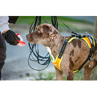 Produktbild von Julius-K9 Mantrailing Sportgeschirr für Hunde Größe S in Orange
