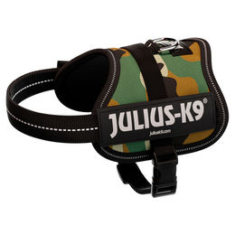 Julius-K9 Power Sportgeschirr für Welpen in XS, Bunt – Bild 1 von 7