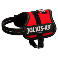 Produktbild von Julius-K9 Power Sportgeschirr für Welpen Rot Größe Mini XS - 1 Stk.