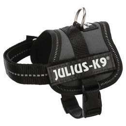 Julius-K9 Powergeschirr für Welpen in Grau Schwarz Größe XS - 1 Stk. – Bild 1 von 11