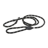 Produktbild von Julius-K9 Retriever-Schleppleine Schwarz Fluoreszierend 2 m x 12 mm - 200 cm