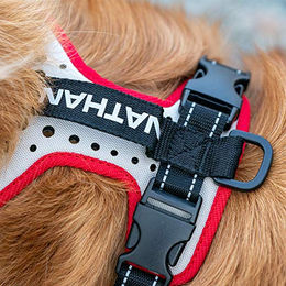 Julius-K9 Sportgeschirr für Hunde Größe M Blau Weiß – Bild 1 von 7