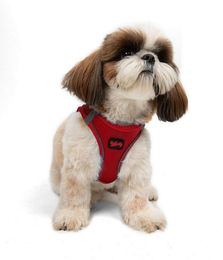 Jumeon Hunde-Geschirr Air Mesh aus Polyester in Rot – Bild 1 von 3