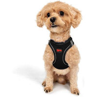 Produktbild von Jumeon Hunde-Geschirr Air Mesh aus Polyester in Schwarz