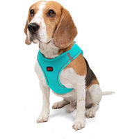 Produktbild von Jumeon Hunde-Geschirr Air Mesh aus Polyester in Türkis