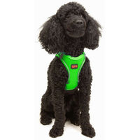 Produktbild von Jumeon Hundegeschirr Air Mesh aus Polyester in Grün
