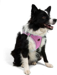 Jumeon Hundegeschirr Air Mesh aus Polyester in Rosa für alle Altersstufen – Bild 1 von 3